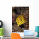 Yellow Boxfish North Sulawesi Wall Decal
