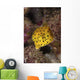Yellow Boxfish North Sulawesi Wall Decal