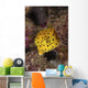 Yellow Boxfish North Sulawesi Wall Decal