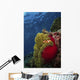 Clownfish inside Red and Wall Decal