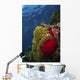 Clownfish inside Red and Wall Decal