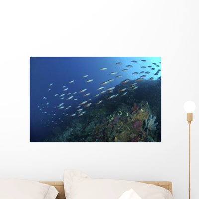 School Neon Fusilier Fish Wall Decal shown on a wall