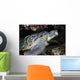 Green Sea Turtle with Wall Decal