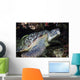 Green Sea Turtle with Wall Decal