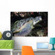Green Sea Turtle with Wall Decal