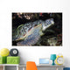 Green Sea Turtle with Wall Decal