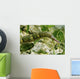 Green Scribbled Pipefish with Wall Decal