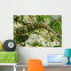 Green Scribbled Pipefish with Wall Decal