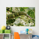 Green Scribbled Pipefish with Wall Decal