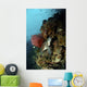 Green Sea Turtle with Wall Decal
