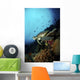 Green Sea Turtle Resting Wall Decal