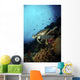 Green Sea Turtle Resting Wall Decal
