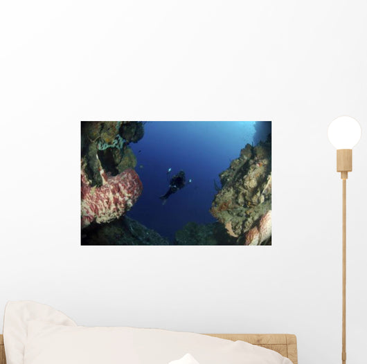 Underwater Photographer Entrance Cave Wall Decal