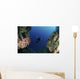 Underwater Photographer Entrance Cave Wall Decal