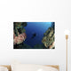 Underwater Photographer Entrance Cave Wall Decal