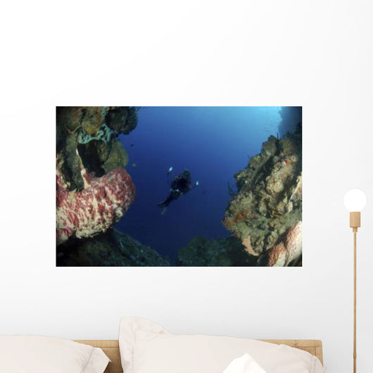 Underwater Photographer Entrance Cave Wall Decal