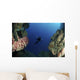 Underwater Photographer Entrance Cave Wall Decal