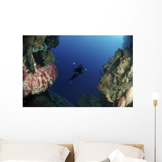 Underwater Photographer Entrance Cave Wall Decal