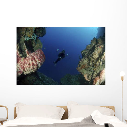 Underwater Photographer Entrance Cave Wall Decal