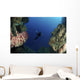 Underwater Photographer Entrance Cave Wall Decal