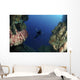 Underwater Photographer Entrance Cave Wall Decal