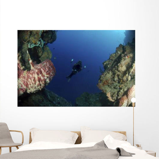 Underwater Photographer Entrance Cave Wall Decal