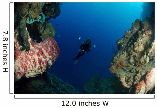 Underwater Photographer Entrance Cave Wall Decal