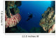 Underwater Photographer Entrance Cave Wall Decal