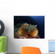 Anemonefish Brown Anemone with Wall Decal Design 2