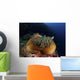 Anemonefish Brown Anemone with Wall Decal Design 2