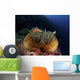Anemonefish Brown Anemone with Wall Decal Design 2