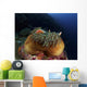 Anemonefish Brown Anemone with Wall Decal Design 2