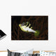 Mimic Filefish North Sulawesi Wall Decal