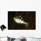 Mimic Filefish North Sulawesi Wall Decal