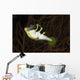 Mimic Filefish North Sulawesi Wall Decal
