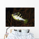 Mimic Filefish North Sulawesi Wall Decal