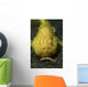 Yellow Frogfish Hunting North Wall Decal