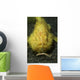 Yellow Frogfish Hunting North Wall Decal