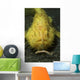Yellow Frogfish Hunting North Wall Decal