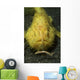 Yellow Frogfish Hunting North Wall Decal