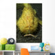 Yellow Frogfish Hunting North Wall Decal