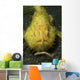 Yellow Frogfish Hunting North Wall Decal