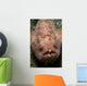 Pink Frogfish with Open Wall Decal