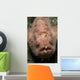 Pink Frogfish with Open Wall Decal