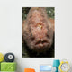 Pink Frogfish with Open Wall Decal