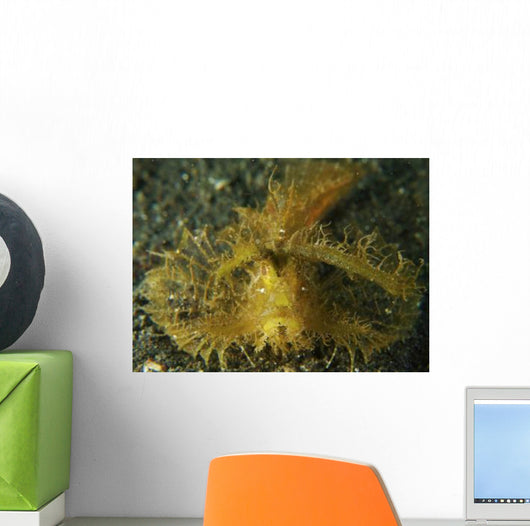 Green Ambon Scorpionfish North Wall Decal Design 2