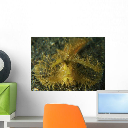 Green Ambon Scorpionfish North Wall Decal Design 2