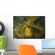 Green Ambon Scorpionfish North Wall Decal Design 2