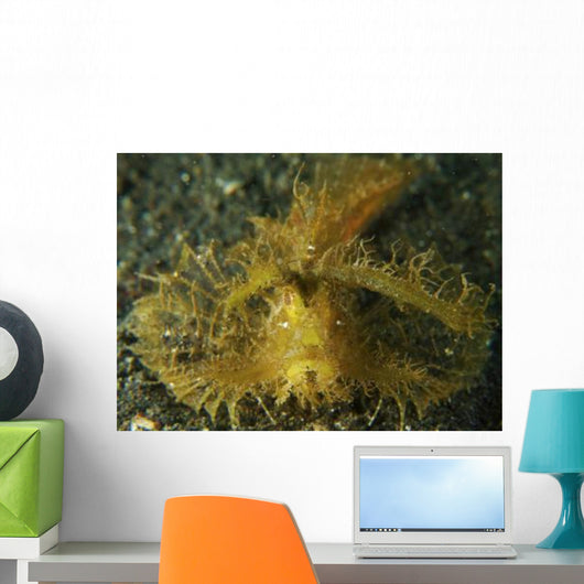 Green Ambon Scorpionfish North Wall Decal Design 2