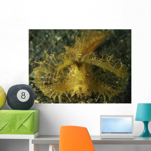Green Ambon Scorpionfish North Wall Decal Design 2